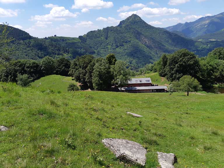 14-Alpe-Comana_Sentiero-delle-Espressioni