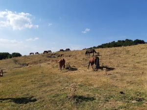 Parco Nazionale del Pollino