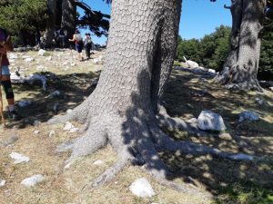 Parco Nazionale del Pollino