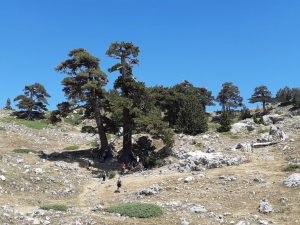 Parco Nazionale del Pollino