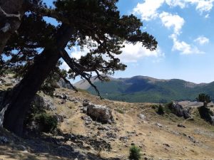 Parco Nazionale del Pollino